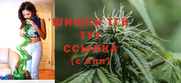 Альфа ПВП Арсеньев